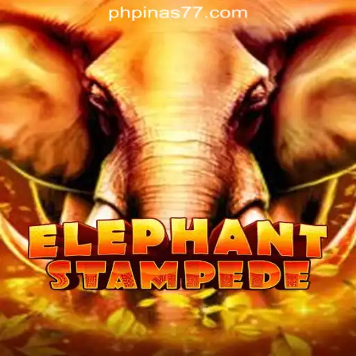 ElephantStampede: A Thrilling Casino Experience