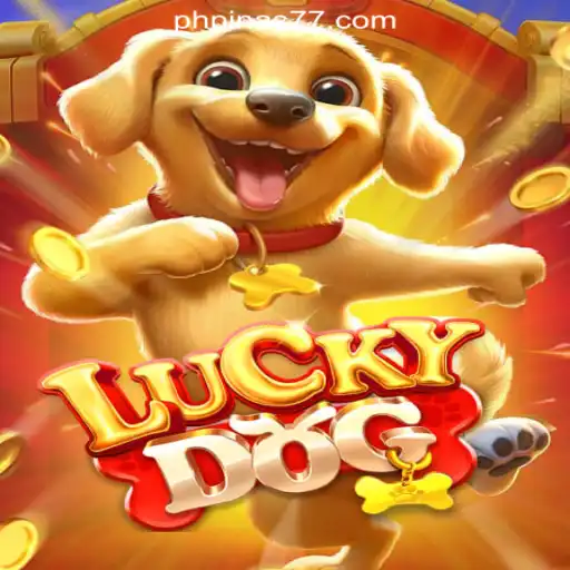 LuckyDog: A New Adventure in Pinas77 Online Casino Philippines